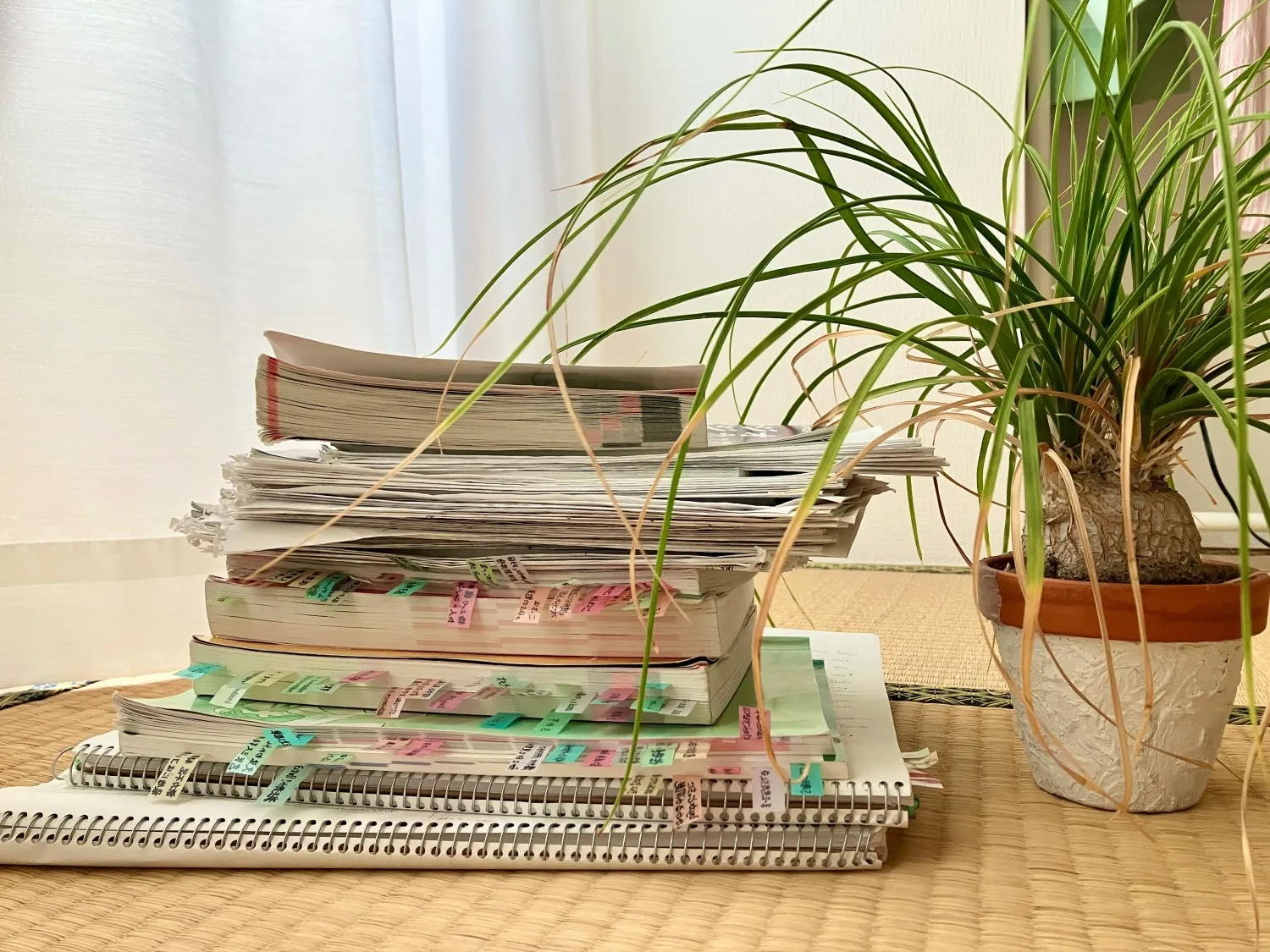 英検一級の勉強に使ったテキストを積み上げた画像