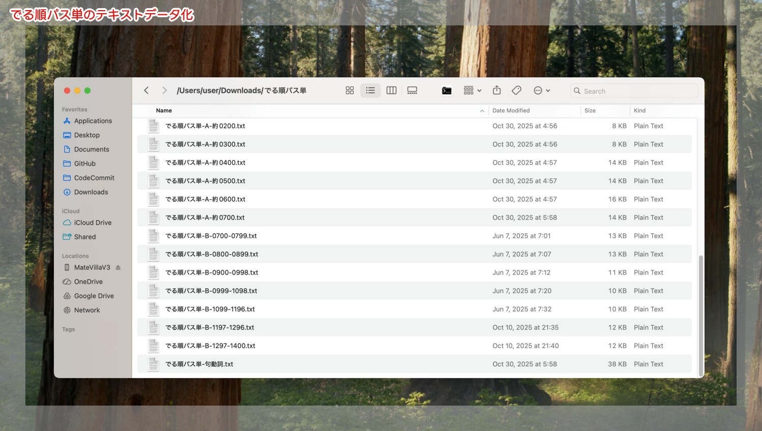 単語帳のすべての単語をテキストデータへ変換したところの画像