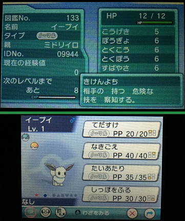 Oras 国際孵化まで みろりhp