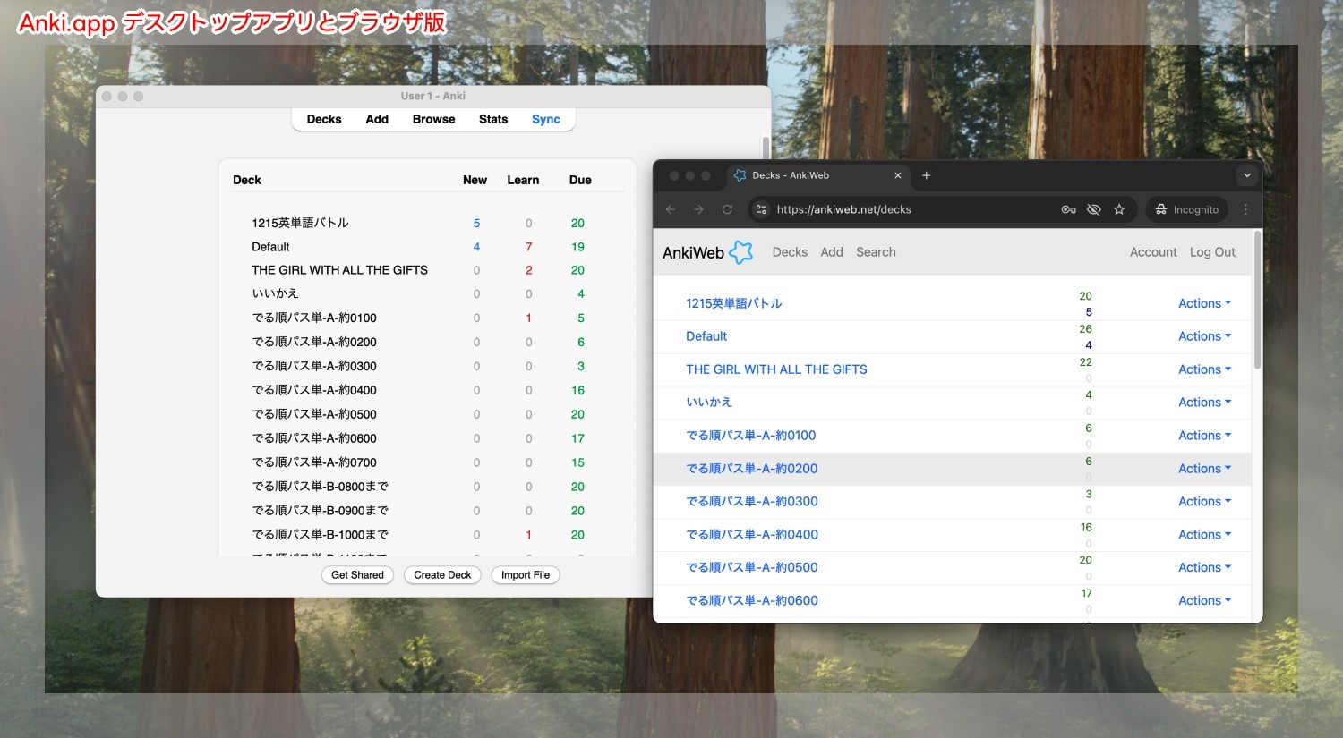 Ankiアプリに単語帳のすべての単語を記録し終わったところの画像