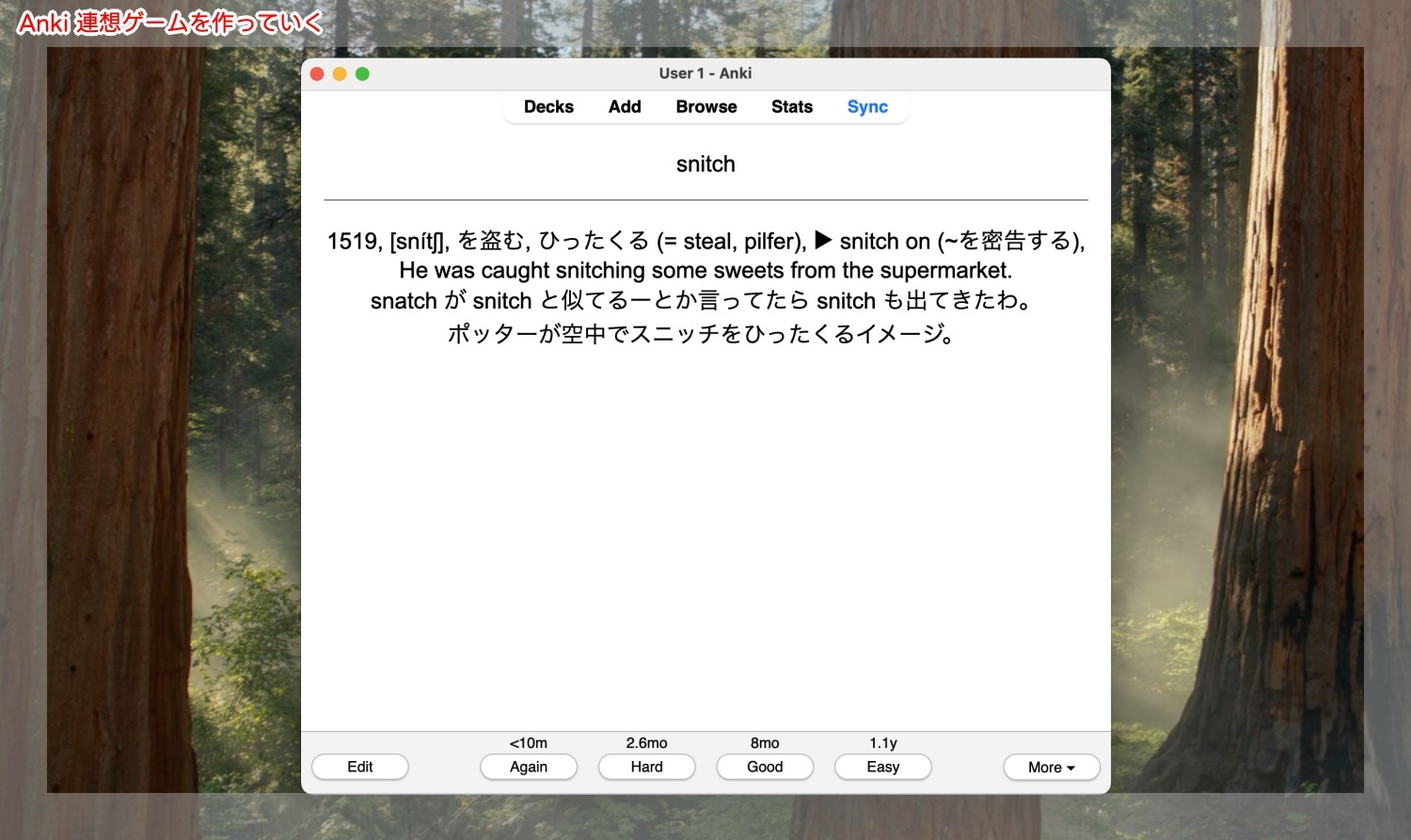 Ankiアプリでsnitchの暗記カードを表示している画像