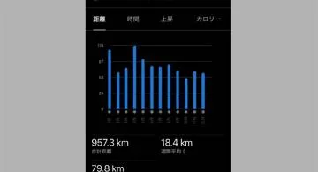 Blog post thumbnail for 2025年は957km走った