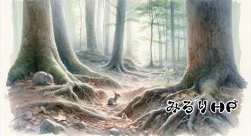 Blog post thumbnail for マイ React.js スターターキットに i18n を導入する