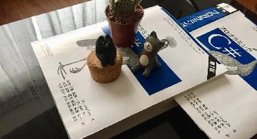 Blog post thumbnail for Ian Griffiths『プログラミング C#』 その20 ASP.NET