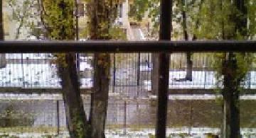 Blog post thumbnail for 初雪