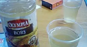 Blog post thumbnail for 禁酒の果て