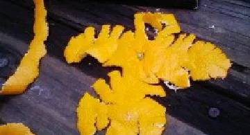 Blog post thumbnail for 2012年総集編（M・L）