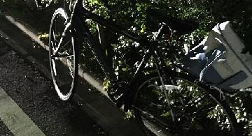 Blog post thumbnail for 山の日の金華山登り