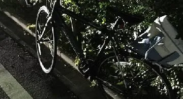 Blog post thumbnail for 山の日の金華山登り