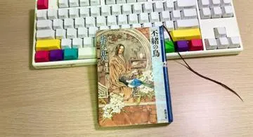 Blog post thumbnail for 小野不由美『十二国記 丕緒の鳥』