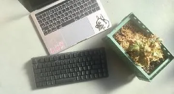 Blog post thumbnail for Mac と旅する5年目 Catalina