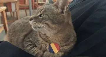 Blog post thumbnail for ルーマニアへの行き方