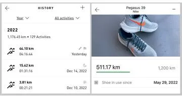 Blog post thumbnail for 2022年は1176km走った