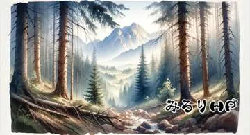 Blog post thumbnail for 2024年総集編