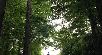 Blog post thumbnail for 北海道をうろつく