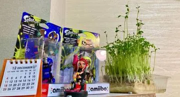 Blog post thumbnail for 2022年総集編