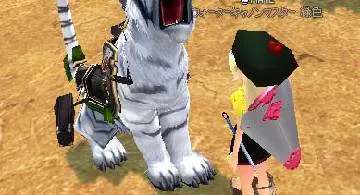 Blog post thumbnail for 騎乗可能白虎