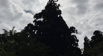 Blog post thumbnail for 野宿旅 大佐渡