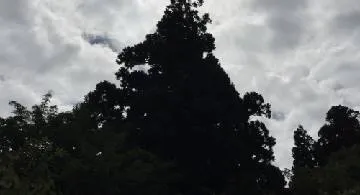 Blog post thumbnail for 野宿旅 大佐渡