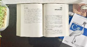 Blog post thumbnail for Ian Griffiths『プログラミング C#』 その13 リフレクション