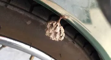 Blog post thumbnail for 久々の山ツーリング