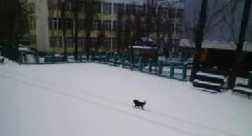 Blog post thumbnail for SEIKOUUDOKU