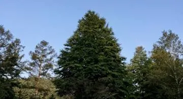 Blog post thumbnail for 野宿旅