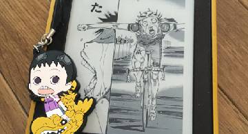 Blog post thumbnail for 2017年読んだ漫画