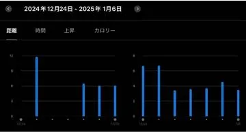 Blog post thumbnail for 正月デブを防ぐ年末年始10日間ぶっ通しランニング 2025